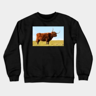 Highland Cow, Scotland Crewneck Sweatshirt